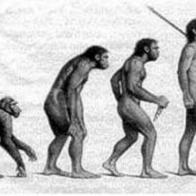 Timeline: ORIGEN Y EVOLUCION DE HOMBRE