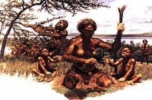 ustralopithecus africanus