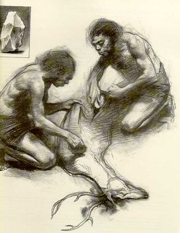 HOMO ERECTUS