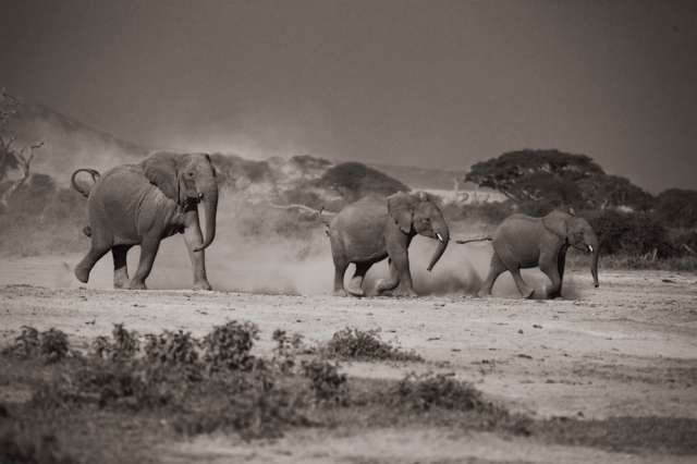 Initiation gone wrong