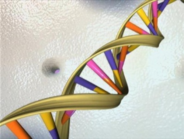 Human Genome Sequence Revealed