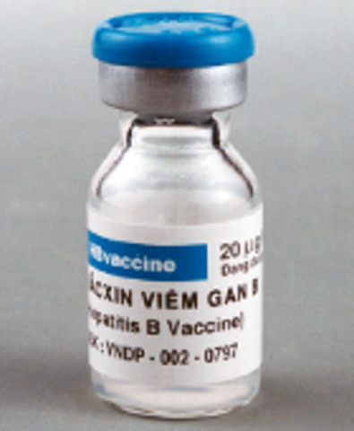 Hepatitis Vaccine