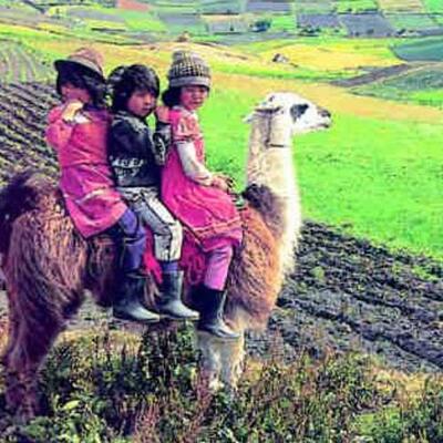 Timeline: Dimencion politaca, social y economica de ecuador