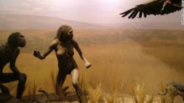 cadenas de poblaciones