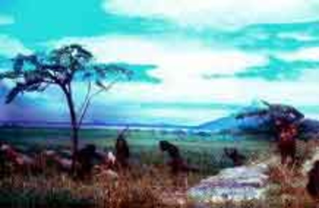 civilizacion neolitica