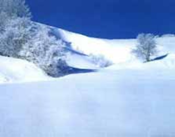 Era de las glaciaciones