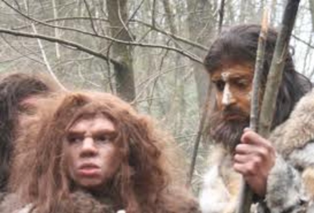 cuando termino la edad del hielo