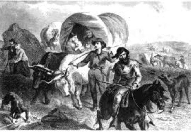 The "forty-niners" make the long journey to California in search of gold