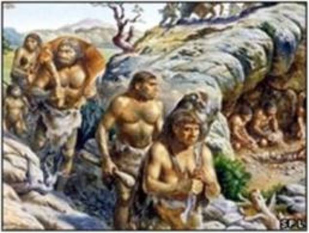Homo sapiens neanderthalis