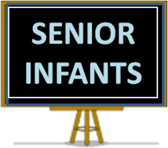 Senior infants