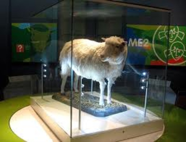 Dolly the Sheep