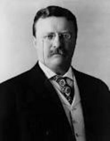 Theodore Roosevelt
