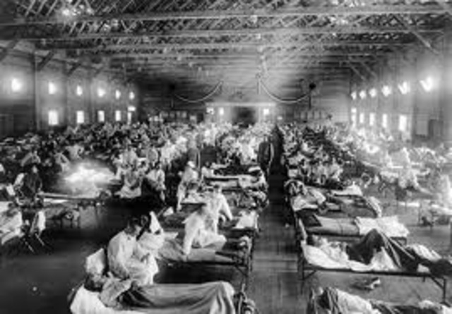 Worldwide Flu Epidemic