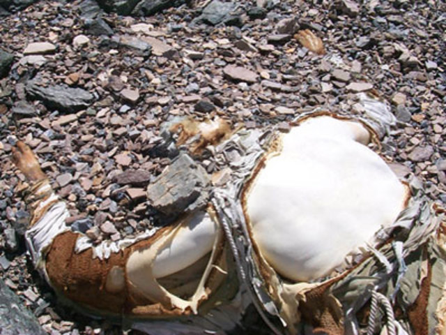 8 confirmed dead on Everest