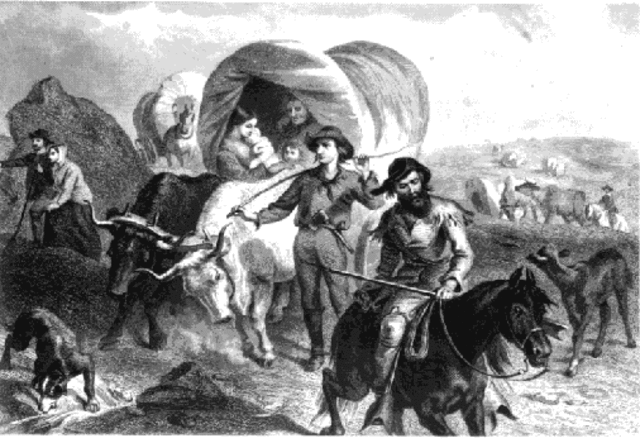 The "forty-niners" make the long journey to California in search of gold