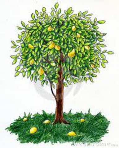 Curt Lemon gets blown into a tree