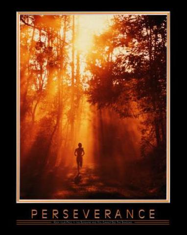 My Perserverance and ROnald