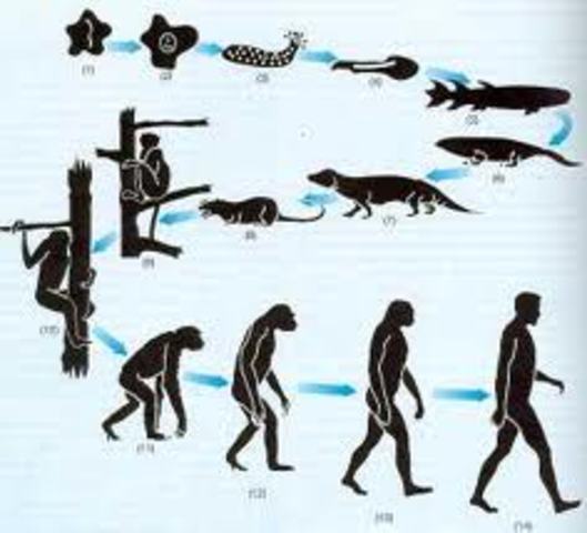 Creacion del Origen de las Especies de Darwin
