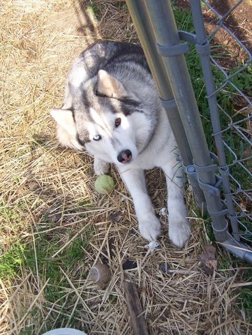 Le onze avril, deux mille sept