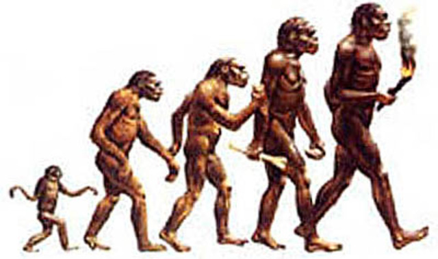 AUSTRALOPITHESUS: ("Monos Fel Sur")