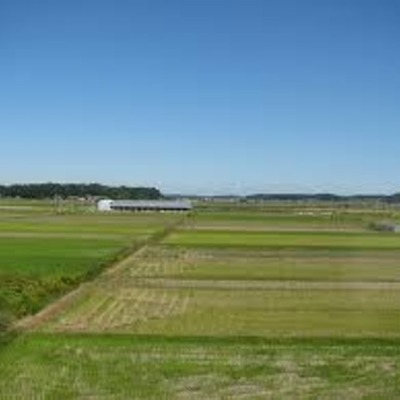 Timeline: 香港土地的利用