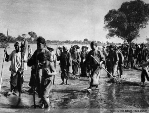 香港人逃难到香港