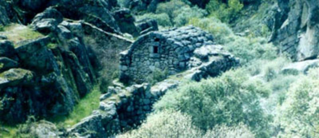 Desarrollo de la Economía