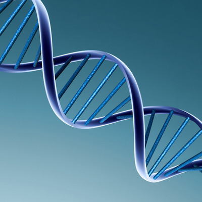 Timeline: Principales descubrimientos del ADN