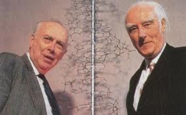 Duscubrimiento de la estructura de doble helice