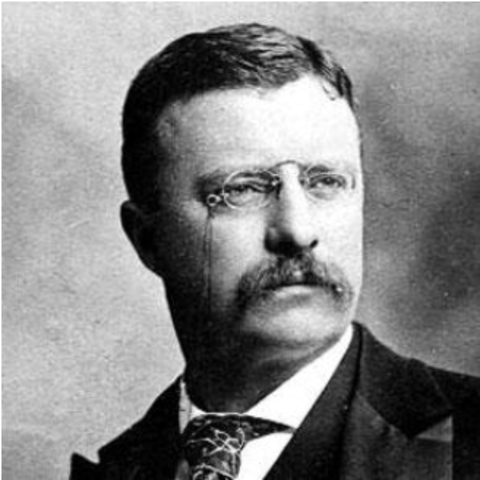 Recognition by the President