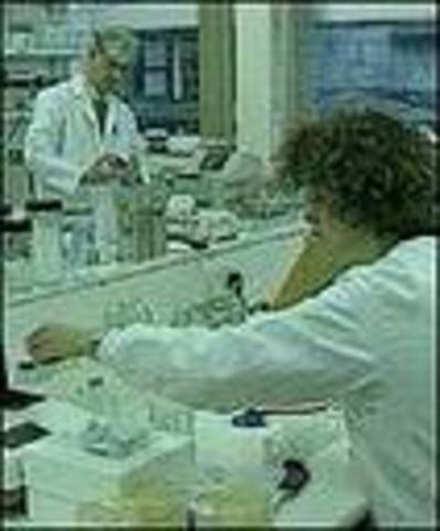 Amplificación del ADN