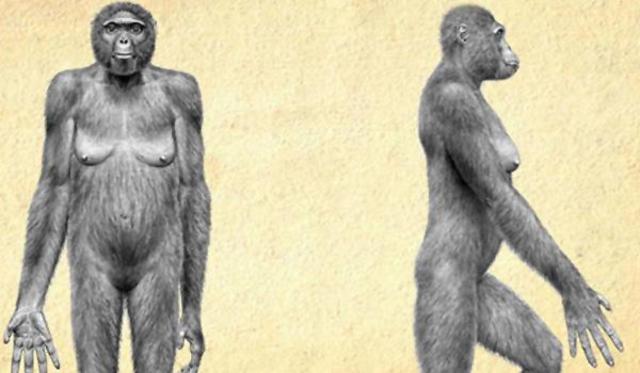 Africa ( continente padre )