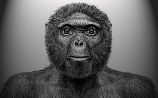 origenes del hombre actual