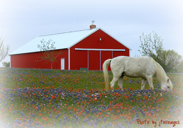 AHS graduates first class