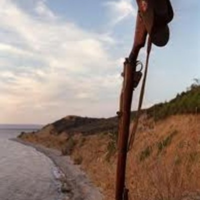 Timeline: World War 1