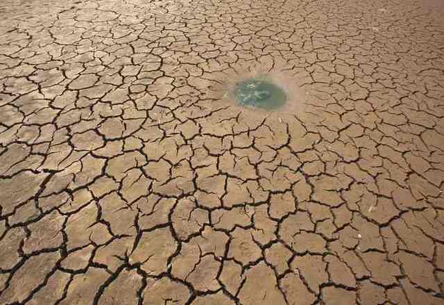 Rising Action 1: Conflict - Nya