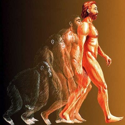 Timeline: DESCUBRIMIENTOS DE LAS EVOLUCIONES DEL HOMBRE
