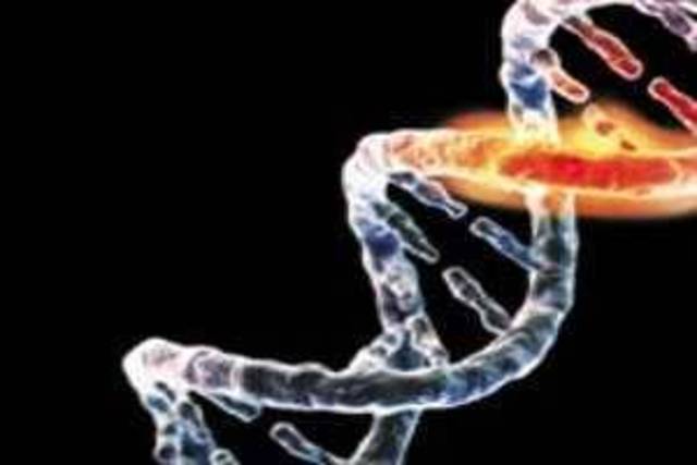 Manipulación del ADN