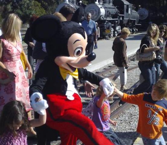 Where dreams come true