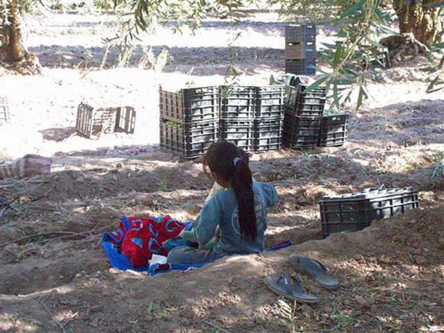 EMPECE A TRABAJAR EN EL CAMPO