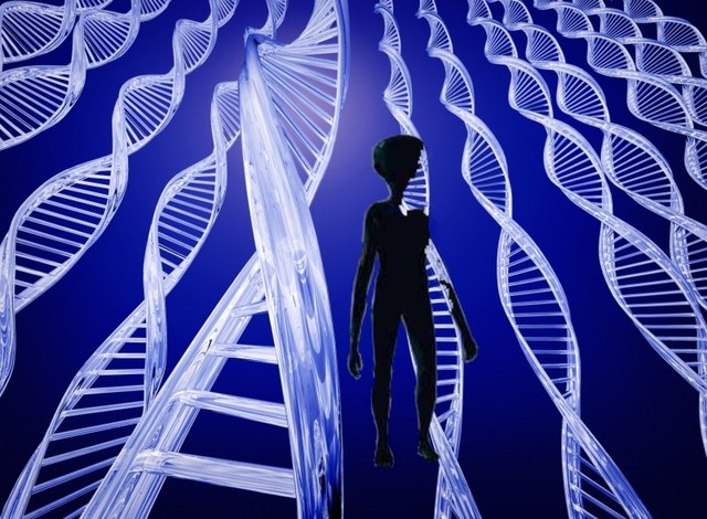 Presentación mundial del código genético humano