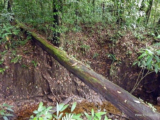 puentes en la antiguedad
