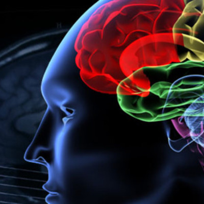 Timeline: Breve Historia De La Psicologia