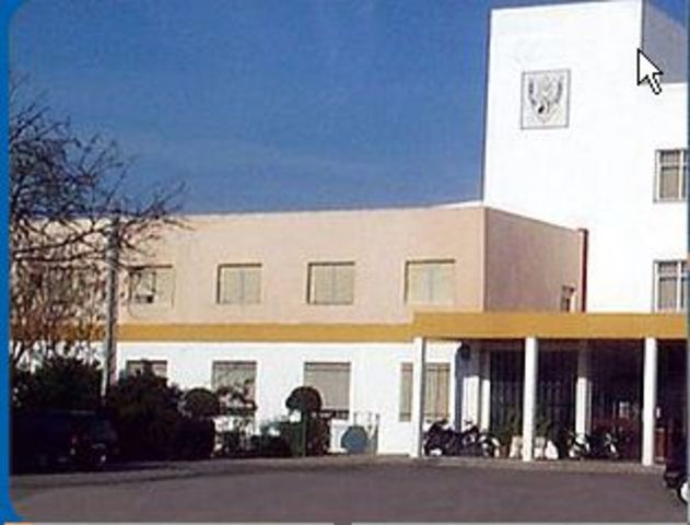 salesianos san luis rey.