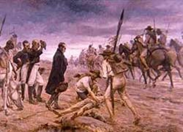 formacion de la colonia