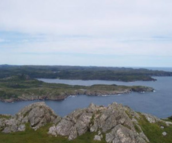 des explorateurs vikings tentent de fonder une colonie en amerique du nord