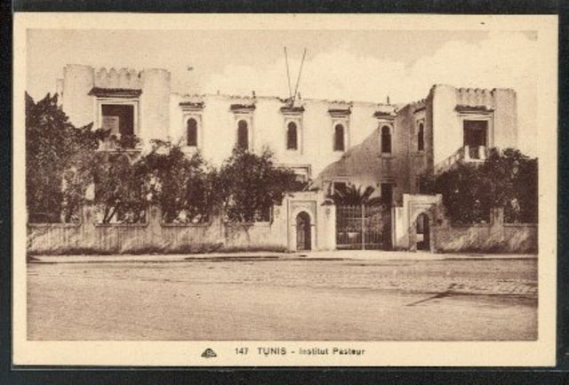 Creation of an Institut Pasteur at Tunis