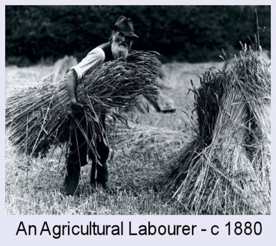 Agricultural Age