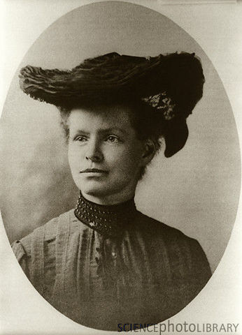 Nettie Stevens
