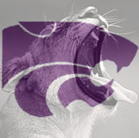 Hired at Arvada West High School